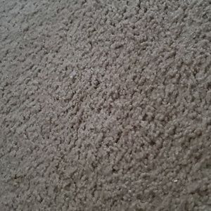 Meet your Posher, Harley